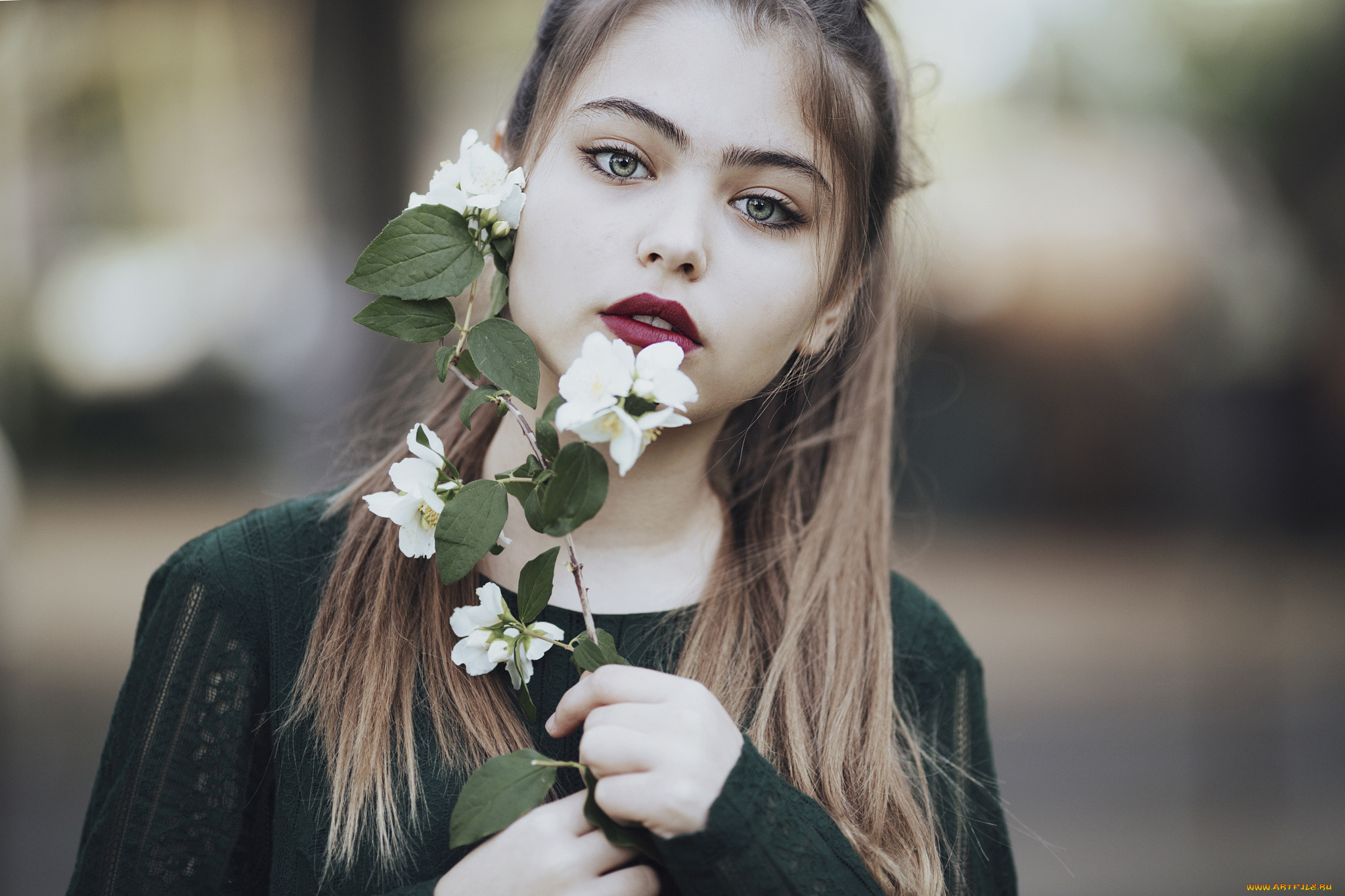 , - ,  , 